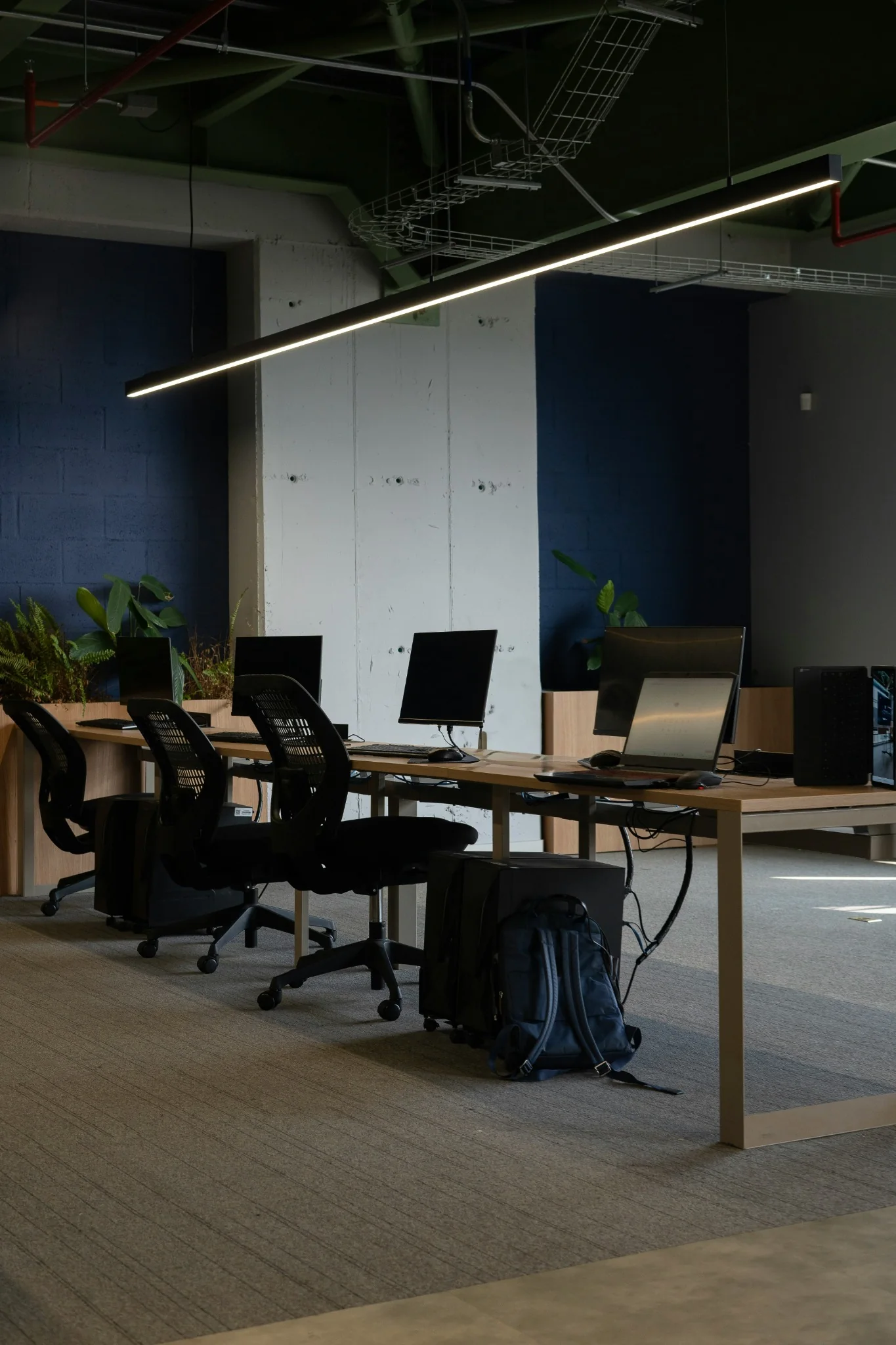 IT-servicebeheer en licenties